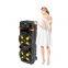 ZQS12205 super power 80W 12-inch*2  OEM cost-effective big party speaker with colorful lights