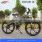 25015 best popular electric bike 36v elctric bike with li ion battery