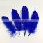 wholesale dyed royal blue goose feathers colored for sale