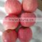 36-44 Chinese Yantai Fuji Apple