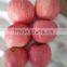 select the good quality fuji apple from Shandong province