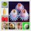EPE foam plastic net for fruit