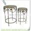 LC-76089 Set of 2 Metal Iron Indoor Plant Stand