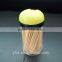 Eco-friendly Bamboo Toothpick From China