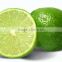 Fresh Lemon & Lime New Crop