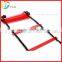 Sports Soccer Flat Adjustable Speed Agility Ladder with Free Carry Bag                        
                                                Quality Choice