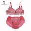 Japanesse Styles Beautiful Ladies Thong Bra