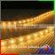 12v 5050SMD 12W 5M CE Standard yellow IP20 LED Strips,color temperature adjustable LED strip 5050 SMD