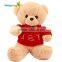 Wholesale China factory custom plush toys teddy bear toys made in China