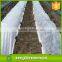 PP Nonwoven Fruit Cover Bag Fabric for Plant Protection / Agriculture Using tnt non-woven fabric roll/ Raw Material pp Nonwovens