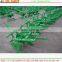 Good performance hand cranked rice transplanter 2016 HOT SALE                        
                                                Quality Choice