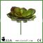 Plastic Small Artificial Green Echeveria Succulent Branch for Sale