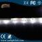 White Waterproof Led Strip Lights 12V smd 5050 30leds/m Flexible Tube Light