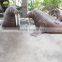 Life size fiberglass animal walrus statue