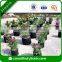 Hotsale 100% PP Non Woven Fabric for Biodegradable Seedling Bags or Tree Planting Fabric