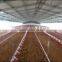 steel structure broiler poultry house construction