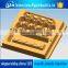 Professionam company OEM custom plastic egg tray mold