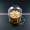 3.7*4cm DIY glass dome preserved planter glass terrarium flower arrangement indoor gradening greenhouse home decoration 0100054