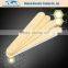 Disposable Wooden medical Tongue Depressor