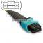 MTP Trunk cable