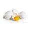 White Eggs Manufacturer