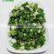 Fresh Air Dried Chive Roll Green Onion Roll
