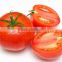 Hybrid tomato seeds best quality for plant