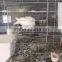 3 layers 12 doors pigeon cages for poultry farm