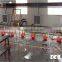 poultry automatic feeding system