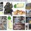 Best Price Seafood Dryer Equipment/fruit Drying Machine For Mango,Orange,Apple Chips
