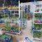 Hot Sale Greenhouse Cart / Flower Display Shelf