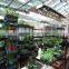 Heating Panel Garden Warehouse with GI Frame