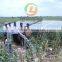 Yaochuang Energy DC 310V / 560V to AC 220V / 230V / 380V / 440V 10-50HP solar water pump