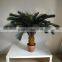 decorative sago cycas cycas revoluta artificial high simulation cycads plant