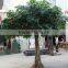 cheap hot sale foliage Banyan leaves artificial ficus leaves. green white gold leaves