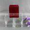 Transparent Glass Vase , Square Glass Flower Vase