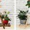 High quanlity solid wood flower shelf
