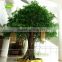 GNW BTR024 green large plastic tree pots for indoor use and garden decor