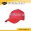 Cheaper Price Printing Logo Polyester Cap