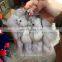 Factory price custom animal plush fur fox keychain