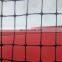 Black extrusion blueberry anti bird netting