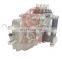 XI Injection Pump BHF4PL080040 4PL1169-80-750 for KDE Kipor KDE20SS3 Generator