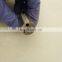 Diesel fuel injector nozzle S type fuel injector nozzle DLLA158sn821 with top quality