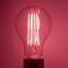 Led plant  Grow lights Bulb Pitaya Flowering Bulb 10W A70  tomato