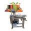 Pineapple strawberry lemon watermelon grape juicer machine