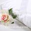 High Quality 100% Cotton White Down Proof Hotel Mattress Topper