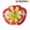 New Plastic and Stainless Steel Apple Corer