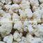 Sinocharm 5mm Diced Frozen Cauliflower Rice For ready to eat