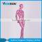 high quality full body abstract female mannequin