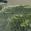 Fish Pond Net Fish Pond Cover Nets Koi Pond Net